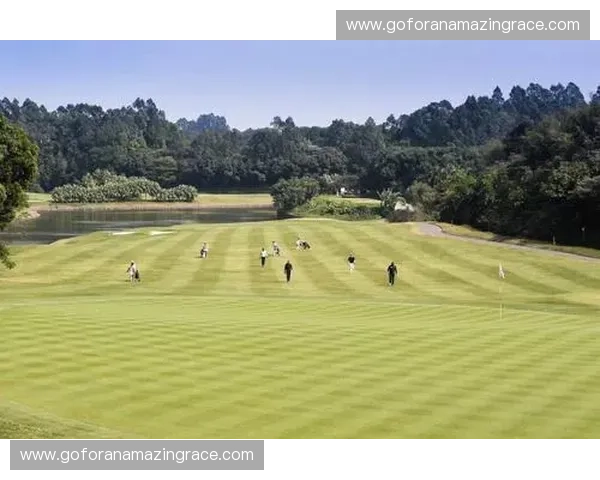 平抽球技术分析与应用技巧探讨如何提升球场表现