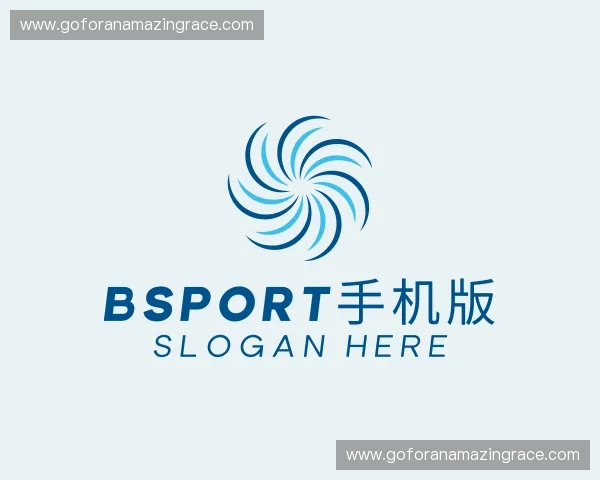 关于Bsport手机版